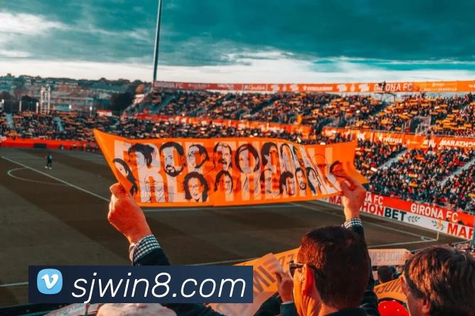 App Interface Preview